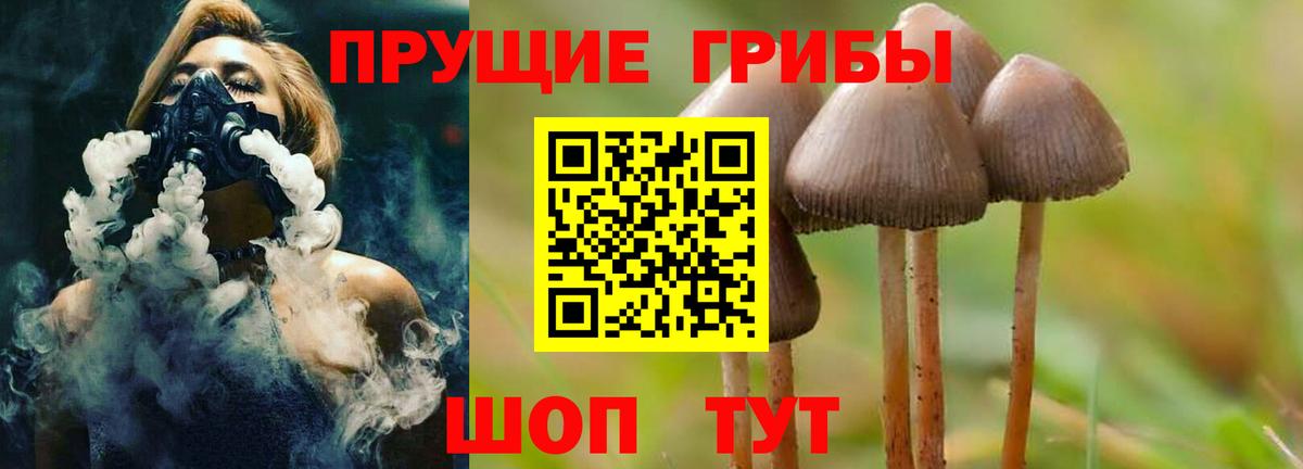 Псилоцибиновые грибы MAGIC MUSHROOMS Черняховск